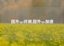 国外vps评测,国外vps加速
