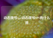 动态拨号vps,动态拨号VPS有什么用