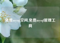 免费mysql空间,免费mysql管理工具