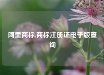 阿里商标,商标注册证电子版查询