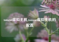 tomcat虚拟主机,tomcat虚拟主机的配置