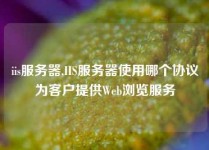 iis服务器,IIS服务器使用哪个协议为客户提供Web浏览服务