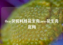 Oray贝锐科技花生壳,oray花生壳官网