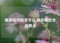 商务短信群发平台,商务短信发送要点
