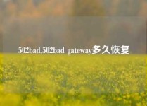 502bad,502bad gateway多久恢复