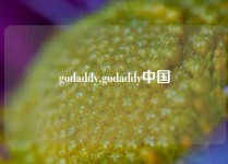 godaddy,godaddy中国