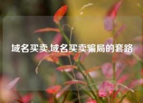 域名买卖,域名买卖骗局的套路