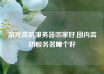 游戏高防服务器哪家好,国内高防服务器哪个好
