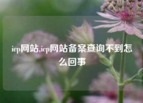 icp网站,icp网站备案查询不到怎么回事