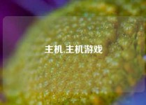 主机,主机游戏