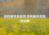 高防服务器租用,高防服务器租用品牌