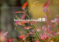 hawkhost,hawkhost速度