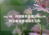 http 500 内部服务器错误,http500内部服务器错误怎么办