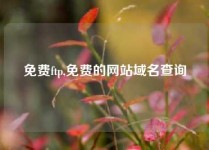 免费ftp,免费的网站域名查询