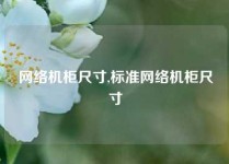 网络机柜尺寸,标准网络机柜尺寸