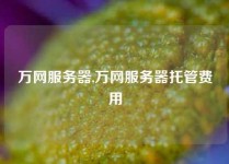 万网服务器,万网服务器托管费用