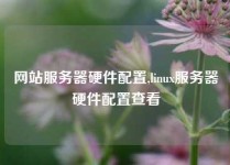 网站服务器硬件配置,linux服务器硬件配置查看