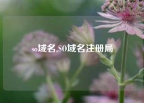 so域名,SO域名注册局