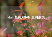 whois 查询,WHOIS 查询系统