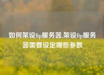 如何架设ftp服务器,架设ftp服务器需要设定哪些参数