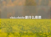 whois,whoishe是什么意思