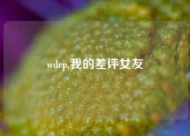 wdcp,我的差评女友