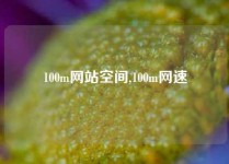100m网站空间,100m网速