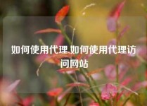 如何使用代理,如何使用代理访问网站