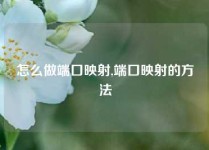 怎么做端口映射,端口映射的方法