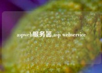 aspweb服务器,asp webservice