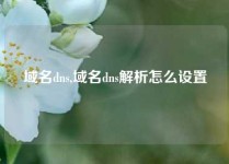 域名dns,域名dns解析怎么设置