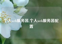 个人web服务器,个人web服务器配置