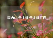 国内bgp云主机,云主机厂商
