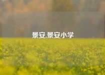 景安,景安小学