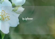 ip,iphone