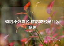 微信不死域名,微信域名是什么意思