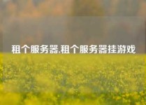 租个服务器,租个服务器挂游戏