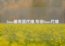linux服务器代维,专业linux代维