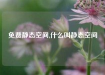 免费静态空间,什么叫静态空间