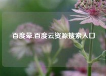百度晕,百度云资源搜索入口
