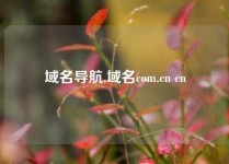 域名导航,域名com.cn cn