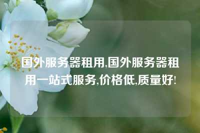 国外服务器租用,国外服务器租用一站式服务,价格低,质量好!