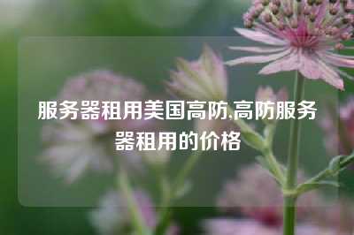 服务器租用美国高防,高防服务器租用的价格
