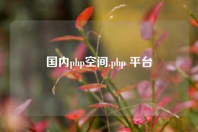 国内php空间,php 平台