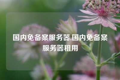 国内免备案服务器,国内免备案服务器租用