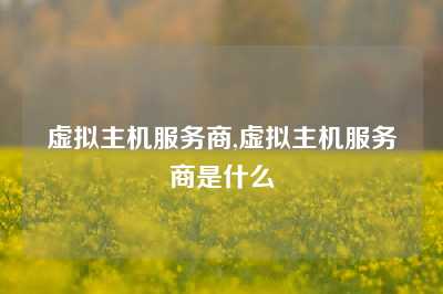 虚拟主机服务商,虚拟主机服务商是什么