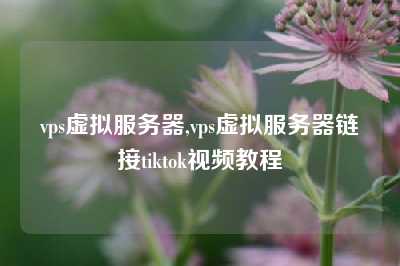 vps虚拟服务器,vps虚拟服务器链接tiktok视频教程