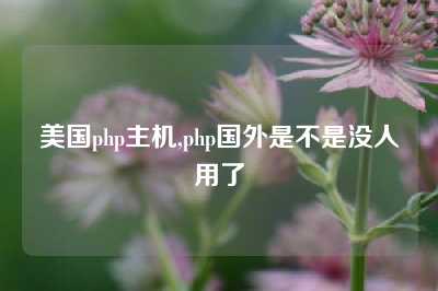 美国php主机,php国外是不是没人用了