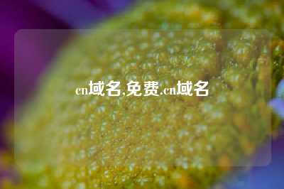 cn域名,免费.cn域名