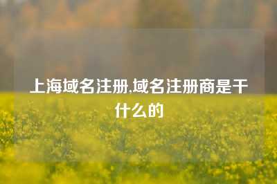 上海域名注册,域名注册商是干什么的